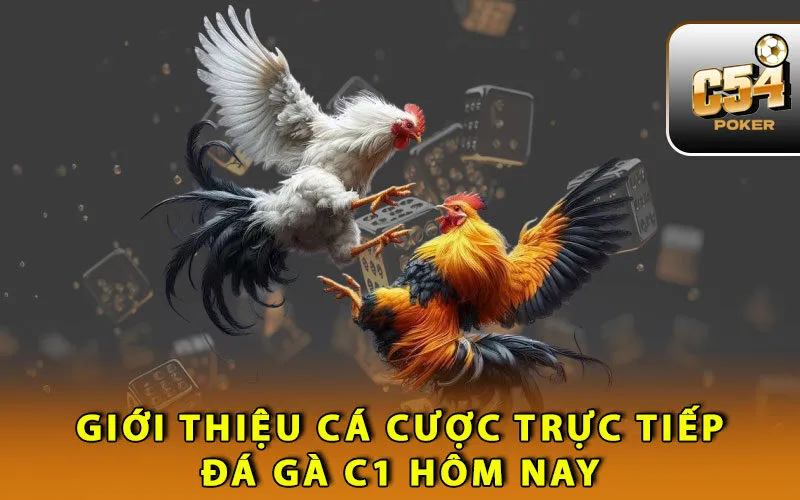 gioi-thieu-ca-cuoc-truc-tiep-da-ga-c1-hom-nay