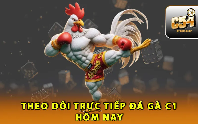 theo-doi-truc-tiep-da-ga-c1-hom-nay